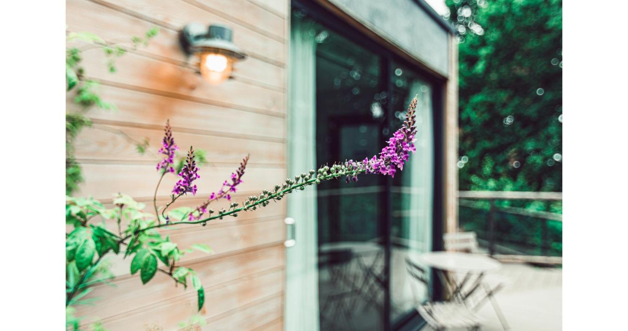 Clophill Eco Lodges Ngoại thất bức ảnh